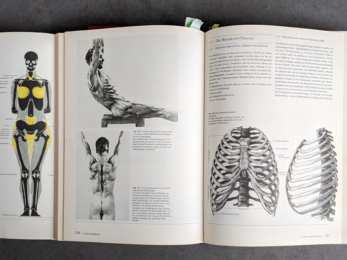 Ellen Lousie Weise Aktzeichnen Workshop bei ROHES studios Hamburg, Anatomiebuch "Der nackte Mensch" von Gottfried Bammes